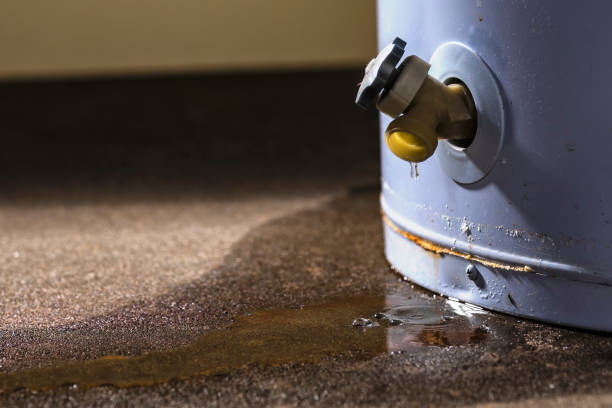 Trusted Water Damage Restoration in Seven Corners, VA | Fast, Reliable, and Ready to Assist You